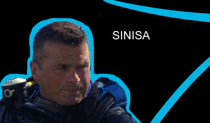 Sinisa